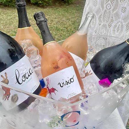 Cruna Di Subida Wine Country House Cormòns Zewnętrze zdjęcie