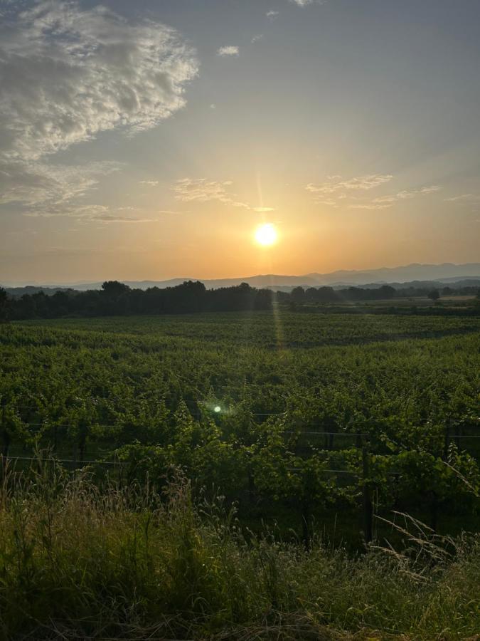 Cruna Di Subida Wine Country House Cormòns Zewnętrze zdjęcie