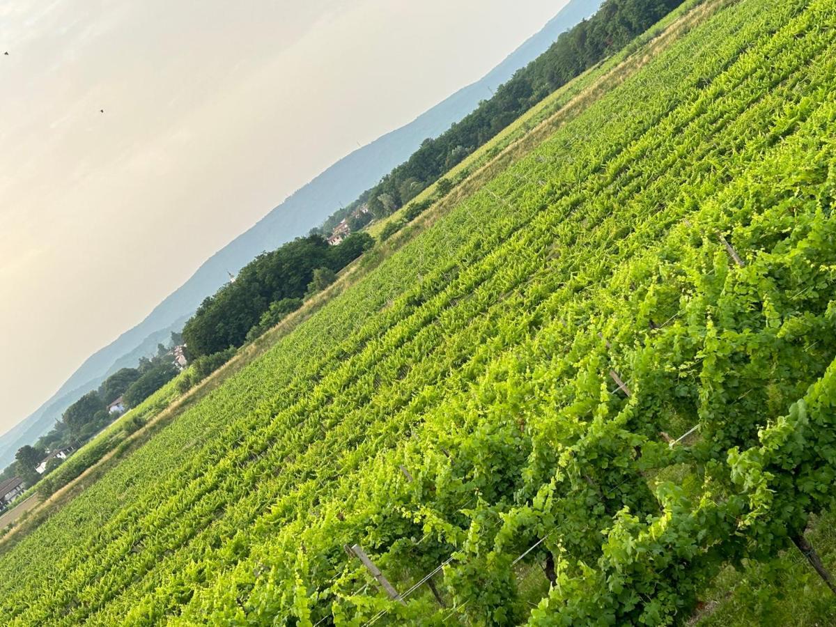 Cruna Di Subida Wine Country House Cormòns Zewnętrze zdjęcie