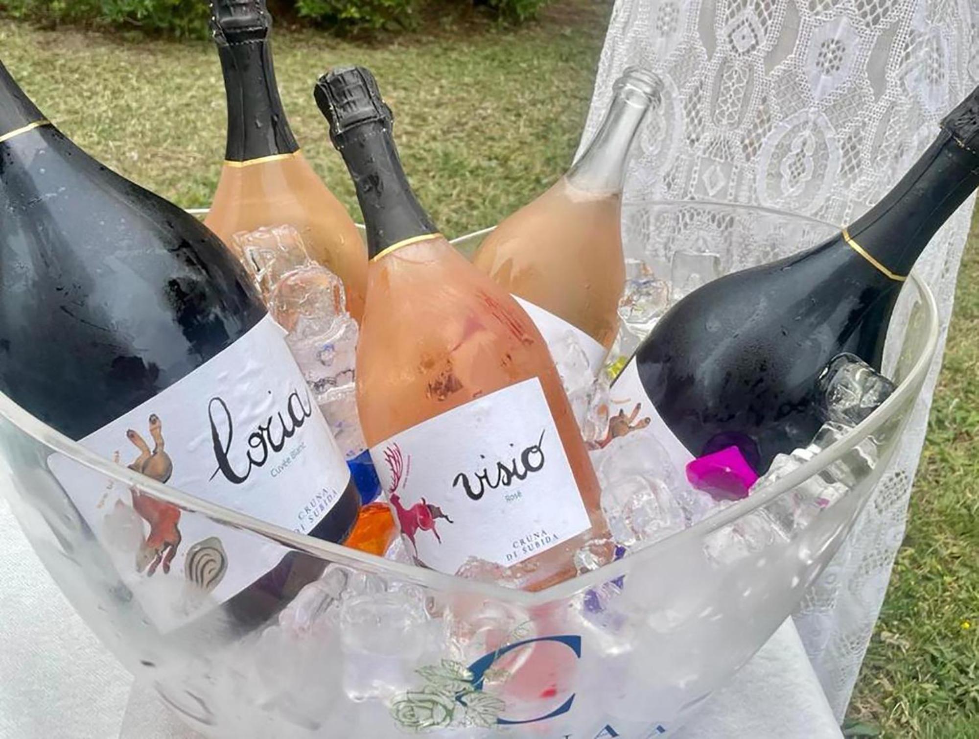 Cruna Di Subida Wine Country House Cormòns Zewnętrze zdjęcie